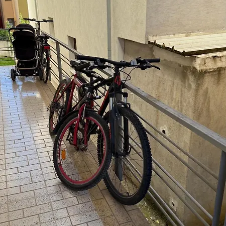 Guest's Apartament *