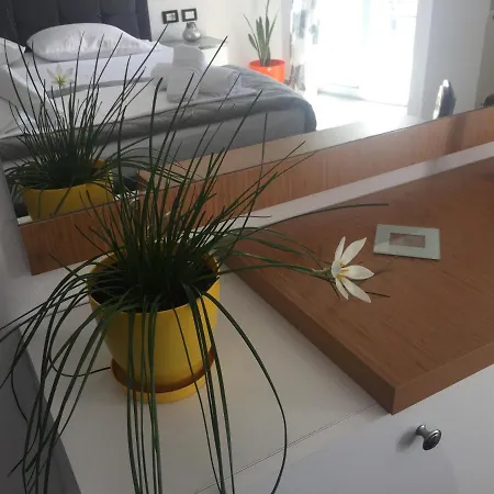 Guest's Pogradec