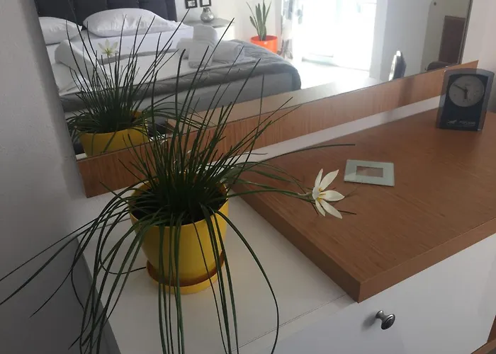 Guest's Pogradec
